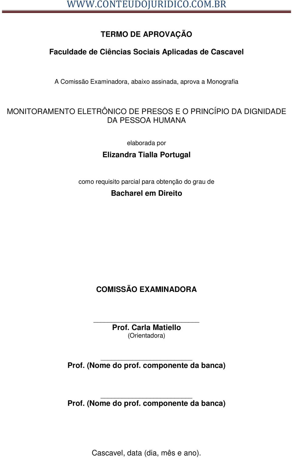 Portugal como requisito parcial para obtenção do grau de Bacharel em Direito COMISSÃO EXAMINADORA Prof.
