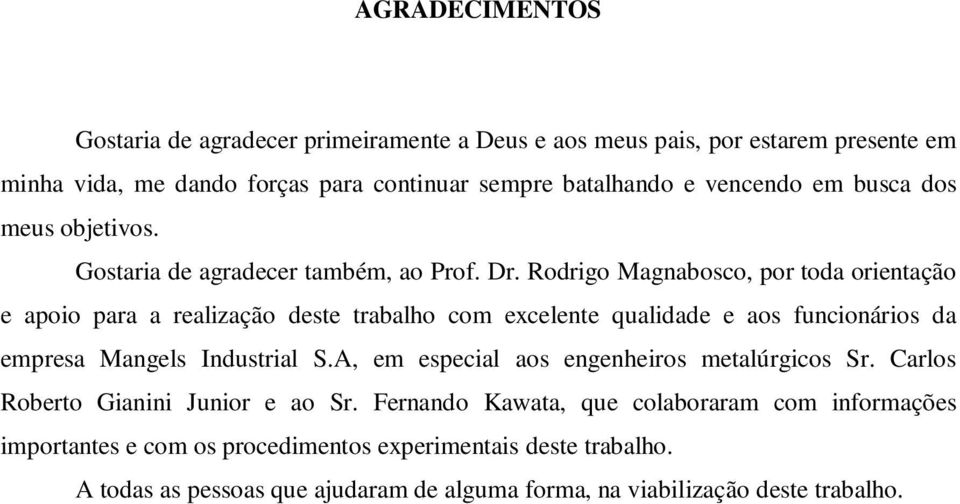 Rodrigo Magnabosco, por toda orientação e apoio para a realização deste trabalho com excelente qualidade e aos funcionários da empresa Mangels Industrial S.