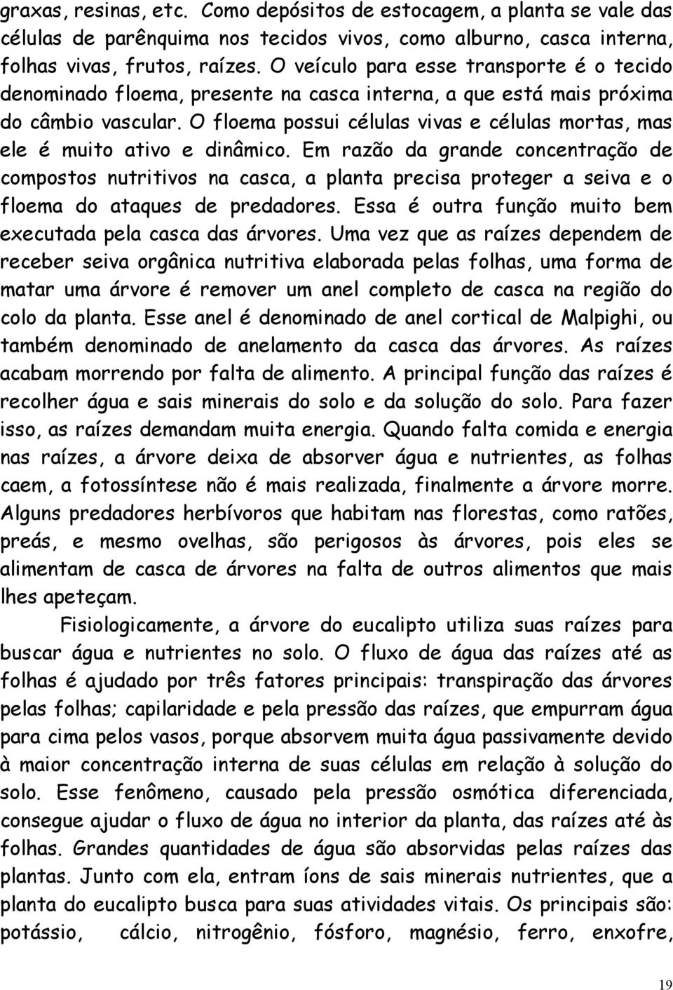 O floema possui células vivas e células mortas, mas ele é muito ativo e dinâmico.