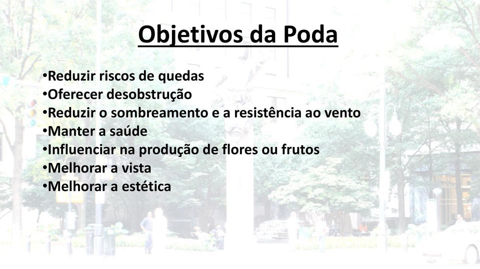 ao vento Manter a saúde Influenciar na produção de