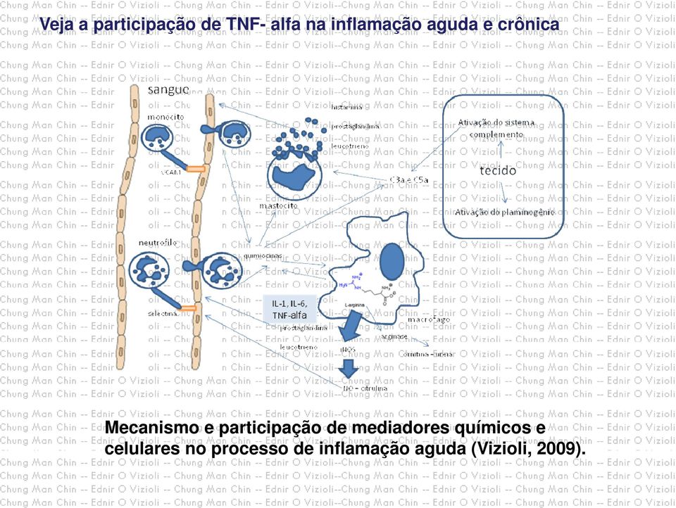 participação de mediadores químicos e