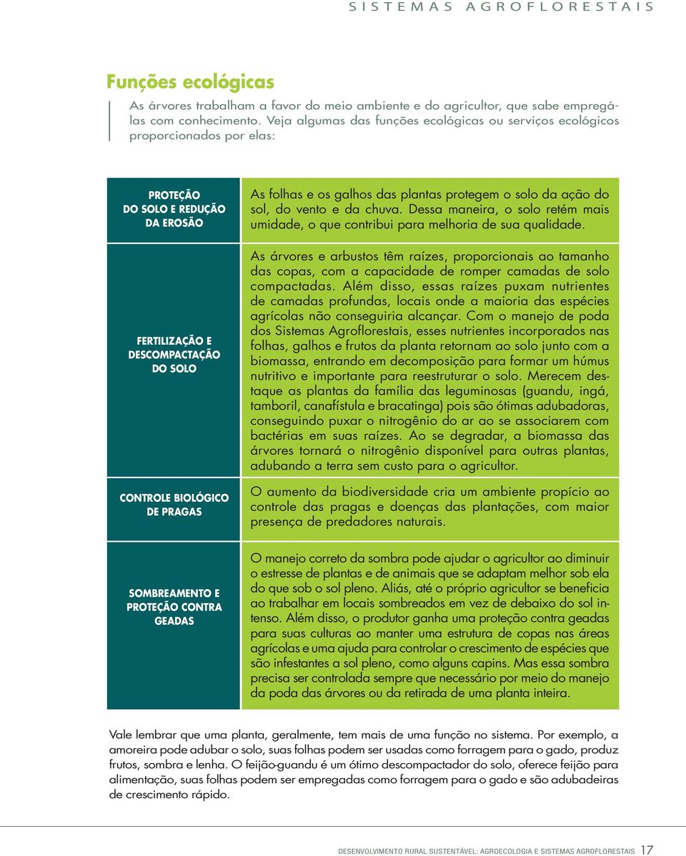 os galhos das plantas protegem o solo da ação do sol, do vento e da chuva. Dessa maneira, o solo retém mais umidade, o que contribui para melhoria de sua qualidade.