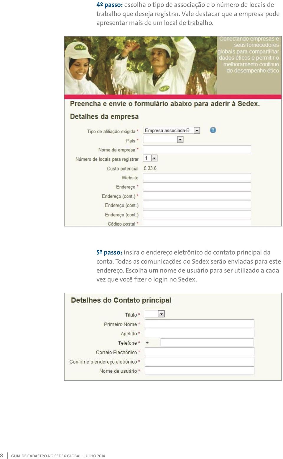 5º passo: insira o endereço eletrônico do contato principal da conta.