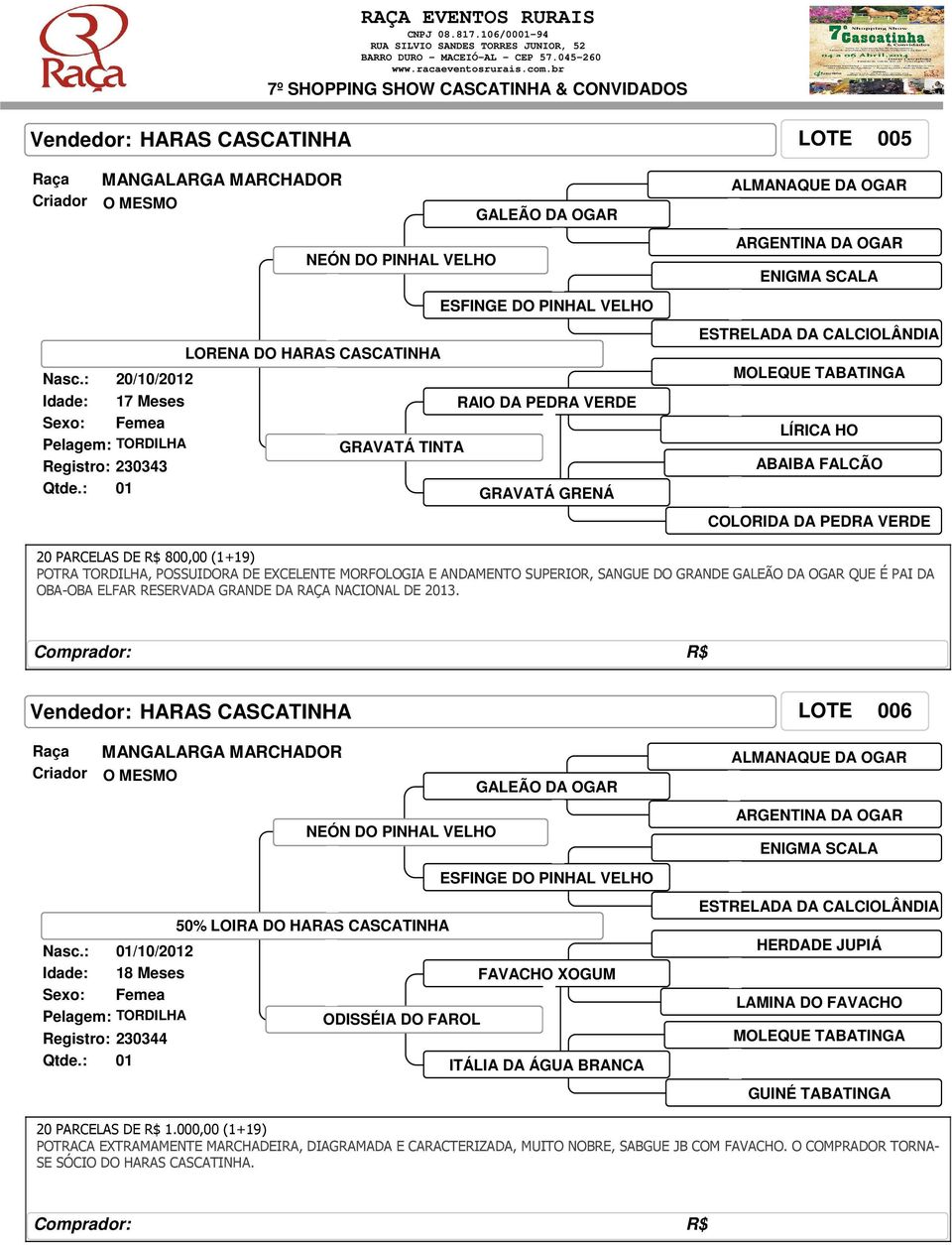 VERDE 20 PARCELAS DE R$ 800,00 (1+19) POTRA TORDILHA, POSSUIDORA DE EXCELENTE MORFOLOGIA E ANDAMENTO SUPERIOR, SANGUE DO GRANDE GALEÃO DA OGAR QUE É PAI DA OBA-OBA ELFAR RESERVADA GRANDE DA RAÇA