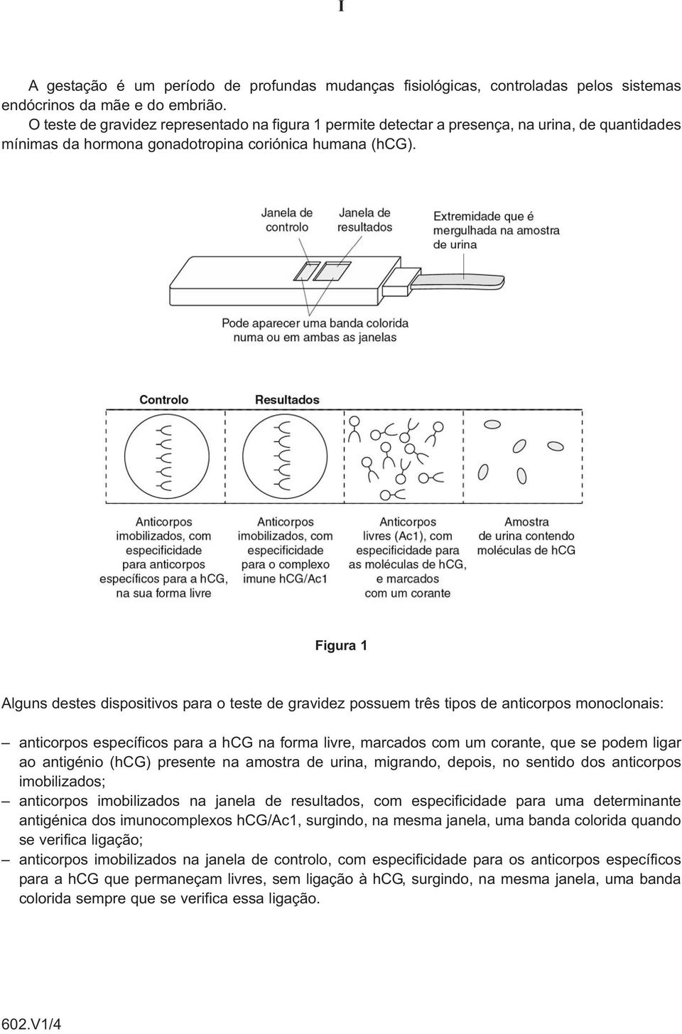 Figura 1 Alguns destes dispositivos para o teste de gravidez possuem três tipos de anticorpos monoclonais: anticorpos específicos para a hcg na forma livre, marcados com um corante, que se podem