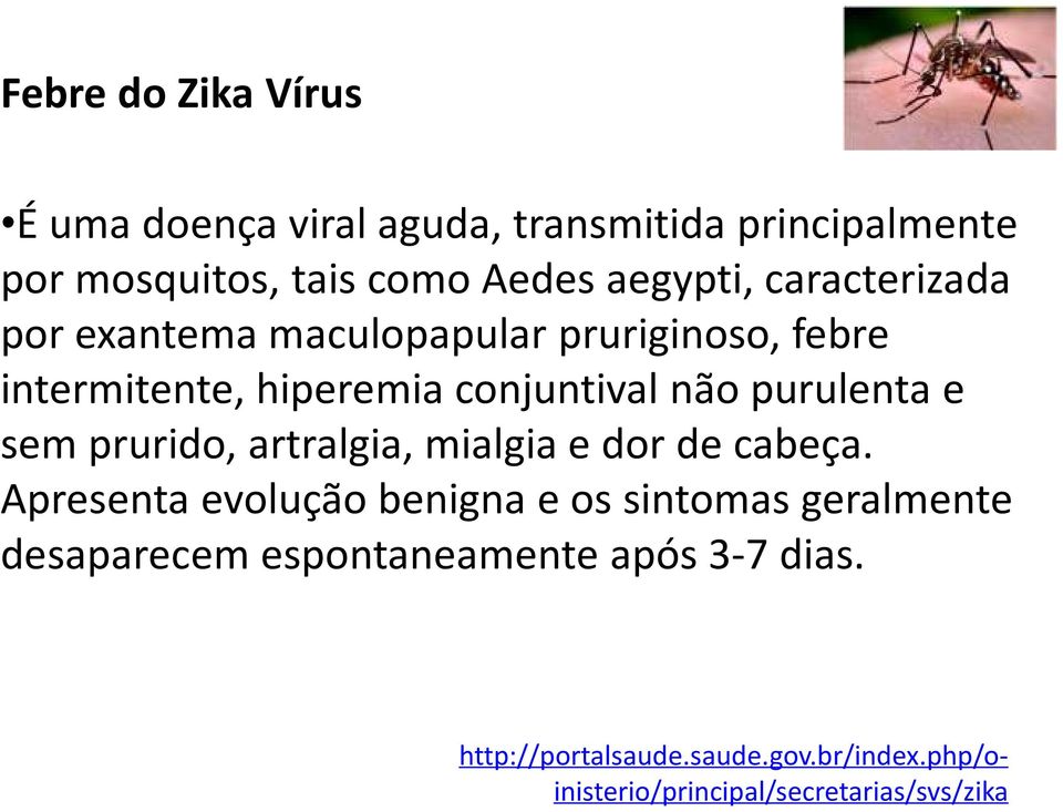 sem prurido, artralgia, mialgia e dor de cabeça.