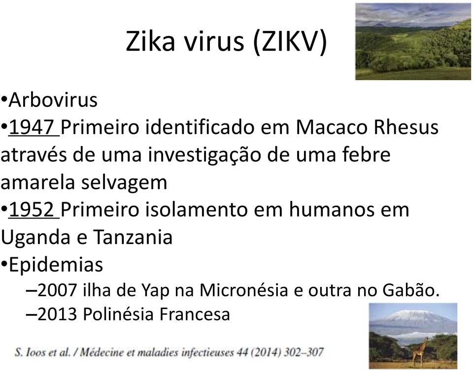 1952 Primeiro isolamento em humanos em Uganda e Tanzania Epidemias