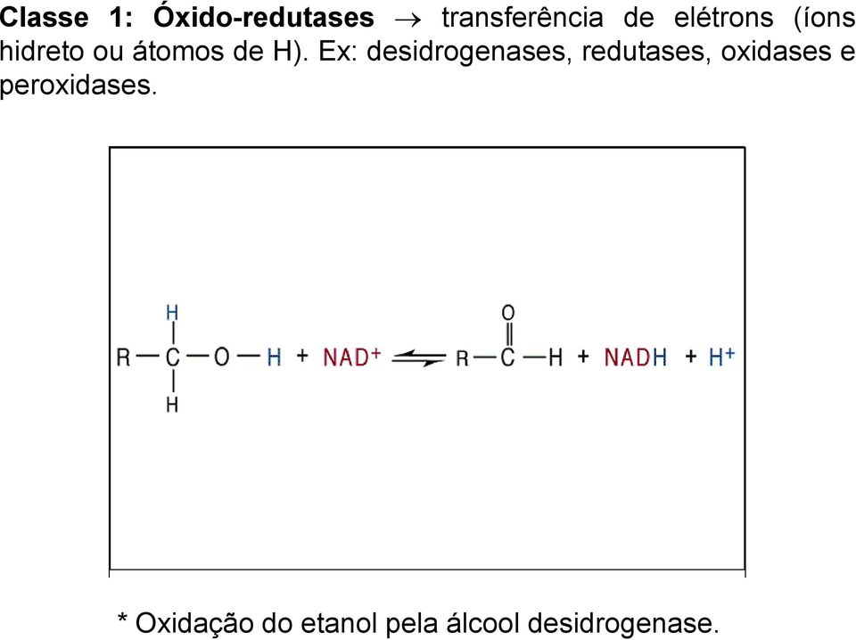 Ex: desidrogenases, redutases, oxidases e
