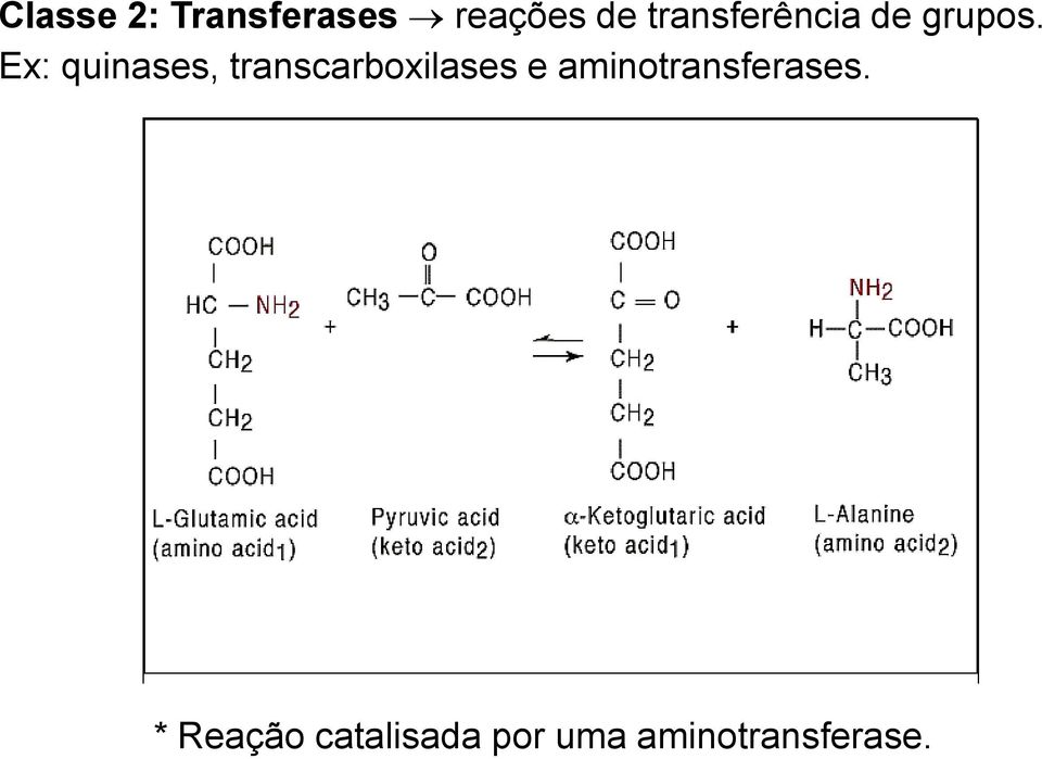 Ex: quinases, transcarboxilases e