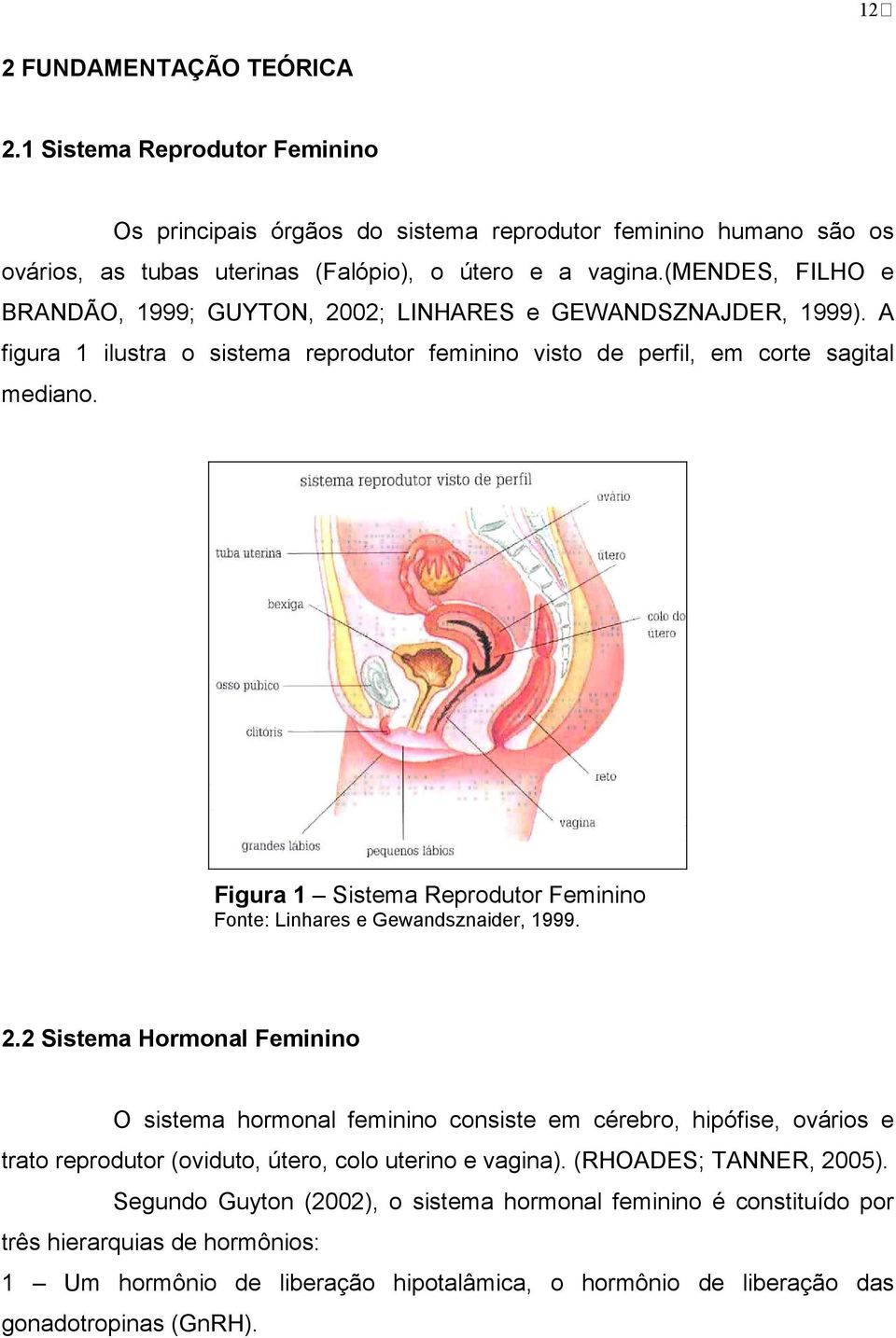 Figura 1 Sistema Reprodutor Feminino Fonte: Linhares e Gewandsznaider, 1999. 2.