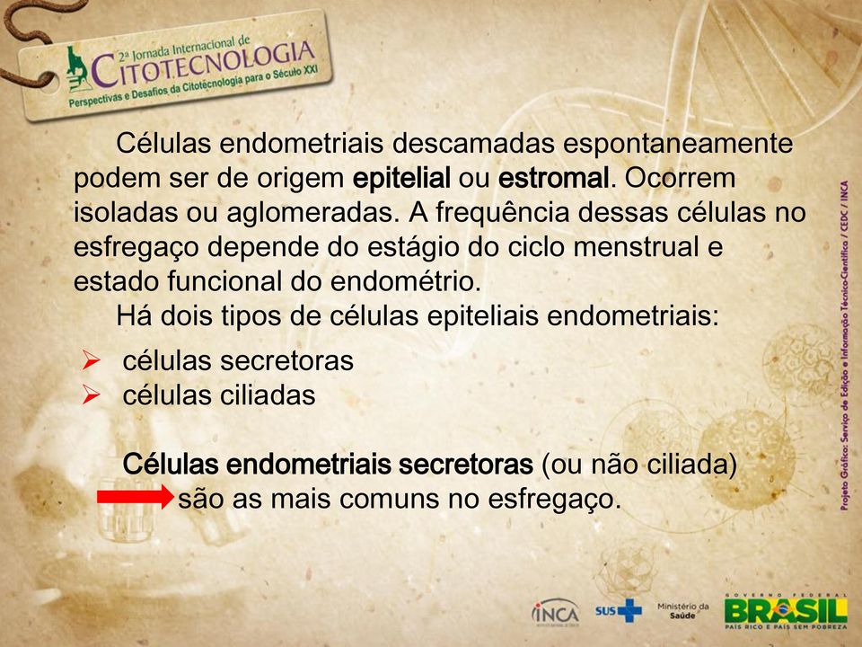 A frequência dessas células no esfregaço depende do estágio do ciclo menstrual e estado funcional do