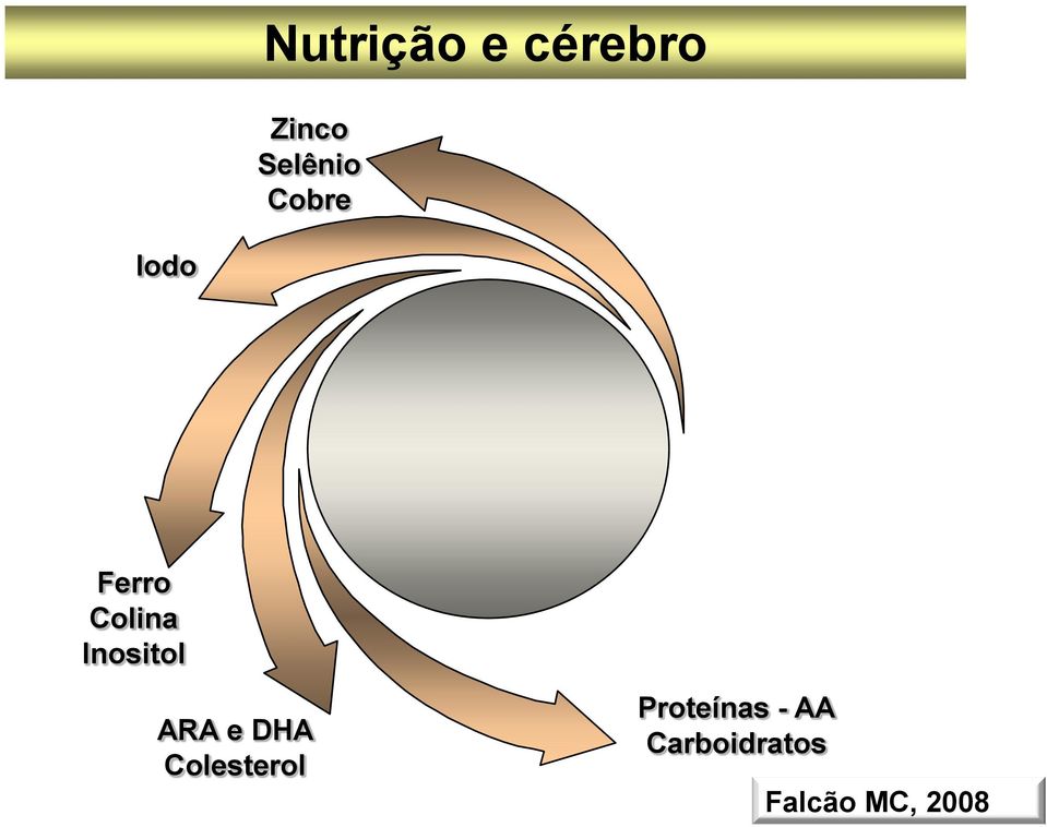 ARA e DHA Colesterol Proteínas -