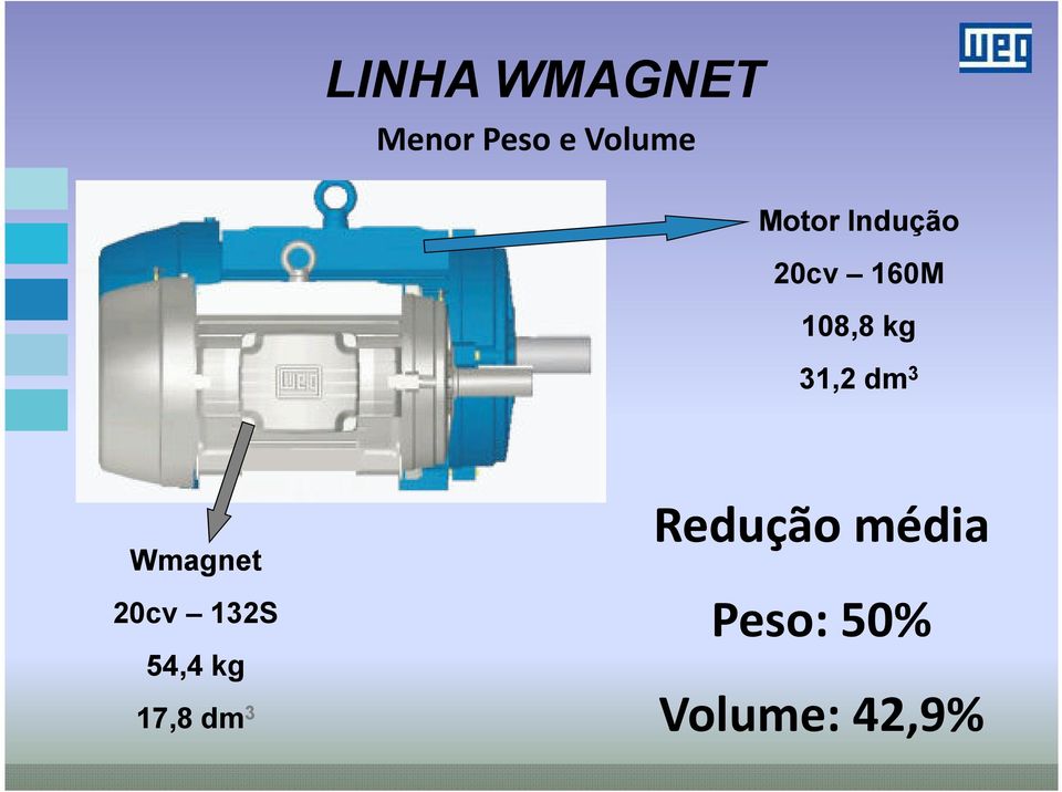 dm 3 Wmagnet 20cv 132S 54,4 kg 17,8