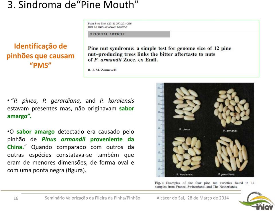 O sabor amargo detectado era causado pelo pinhão de Pinus armandii proveniente da China.