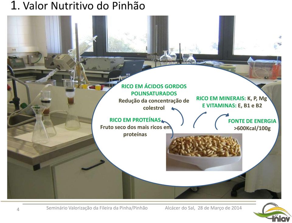 PROTEÍNAS Fruto seco dos mais ricos em proteínas RICO EM