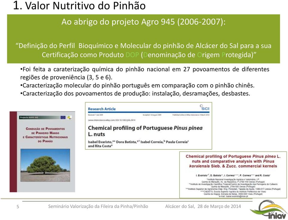 química do pinhão nacional em 27 povoamentos de diferentes regiões de proveniência (3, 5 e 6).