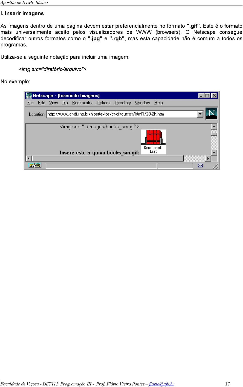 O Netscape consegue decodificar outros formatos como o ".jpg" e ".rgb", mas esta capacidade não é comum a todos os programas.