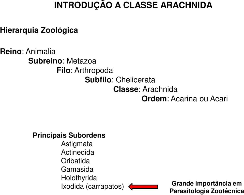 Acarina ou Acari Principais Subordens Astigmata Actinedida Oribatida