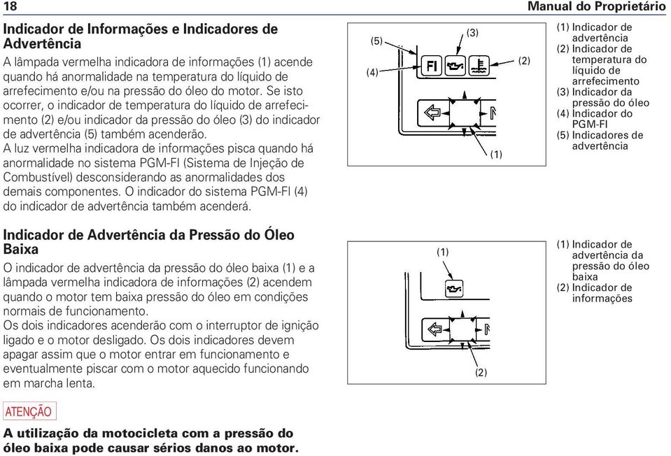 A luz vermelha indicadora de informações pisca quando há anormalidade no sistema PGM-FI (Sistema de Injeção de Combustível) desconsiderando as anormalidades dos demais componentes.