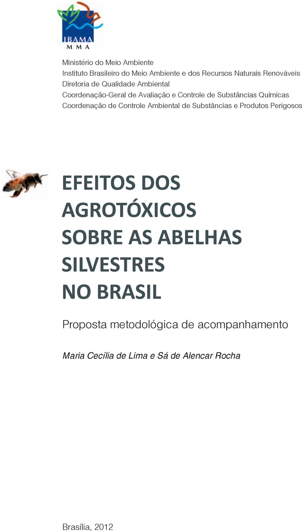 Substâncias Químicas Coordenação de Controle Ambiental de Substâncias e Produtos Perigosos