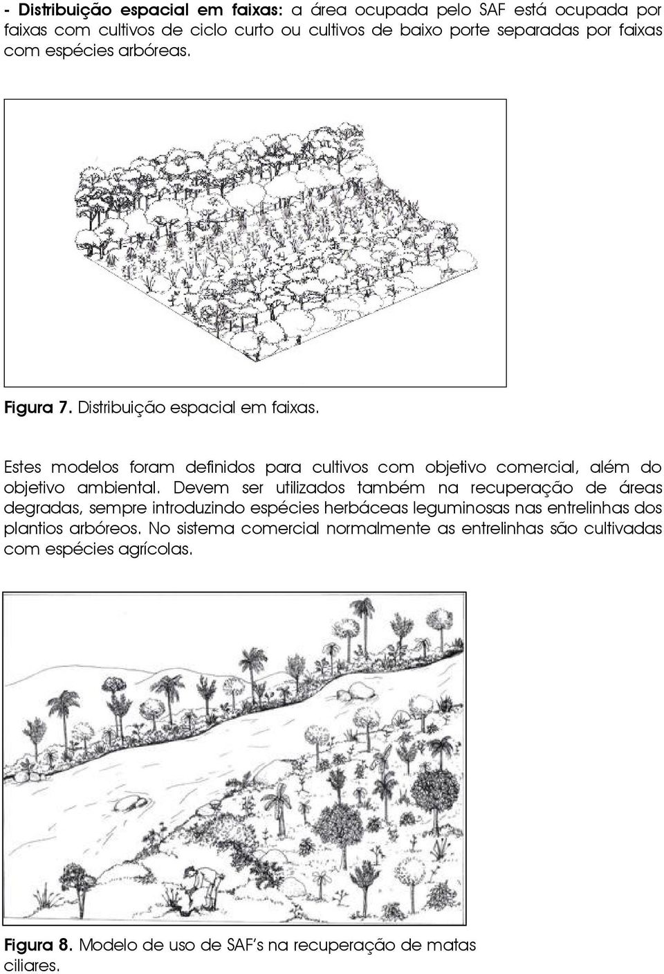 Estes modelos foram definidos para cultivos com objetivo comercial, além do objetivo ambiental.