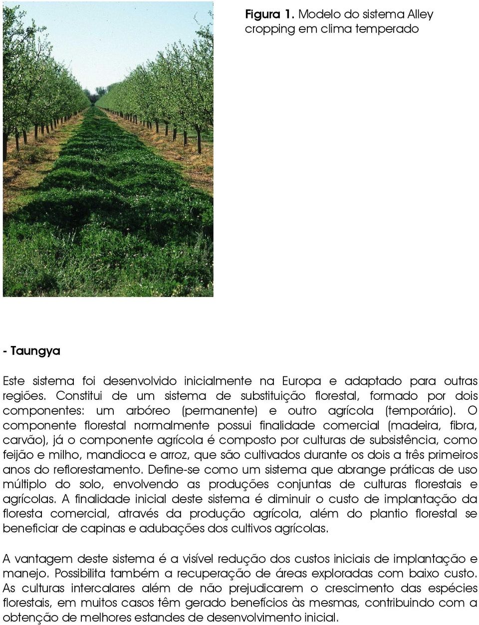 O componente florestal normalmente possui finalidade comercial (madeira, fibra, carvão), já o componente agrícola é composto por culturas de subsistência, como feijão e milho, mandioca e arroz, que