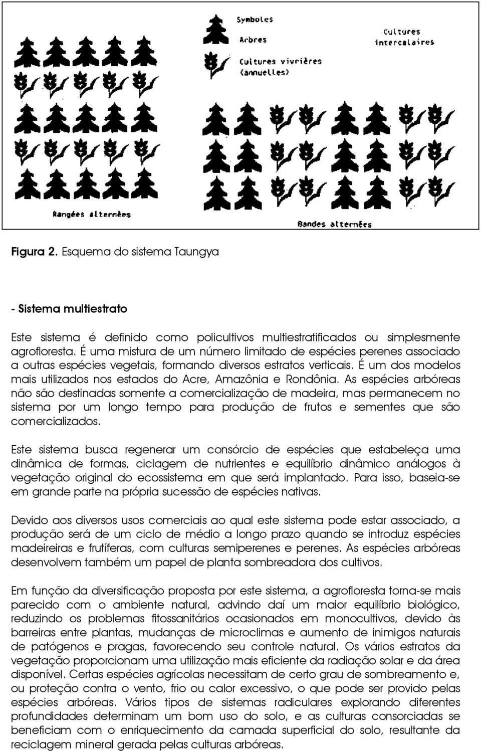 É um dos modelos mais utilizados nos estados do Acre, Amazônia e Rondônia.