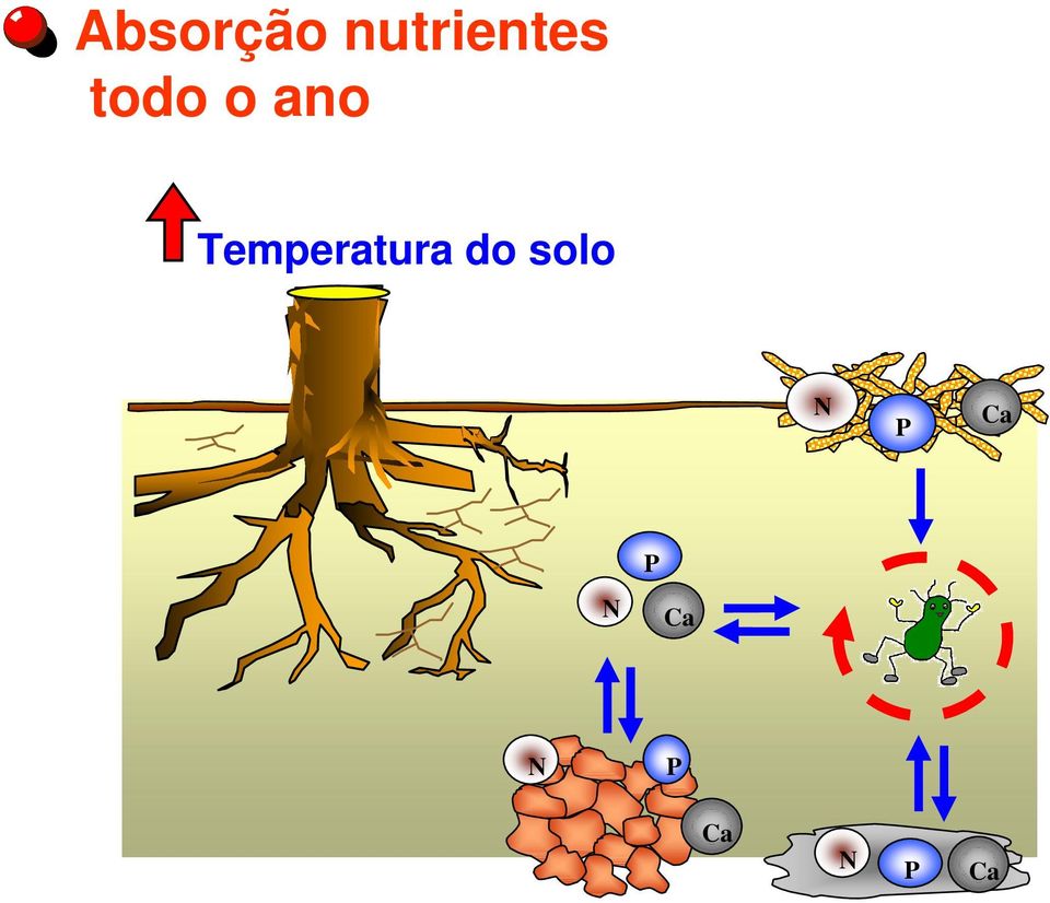 Temperatura do solo