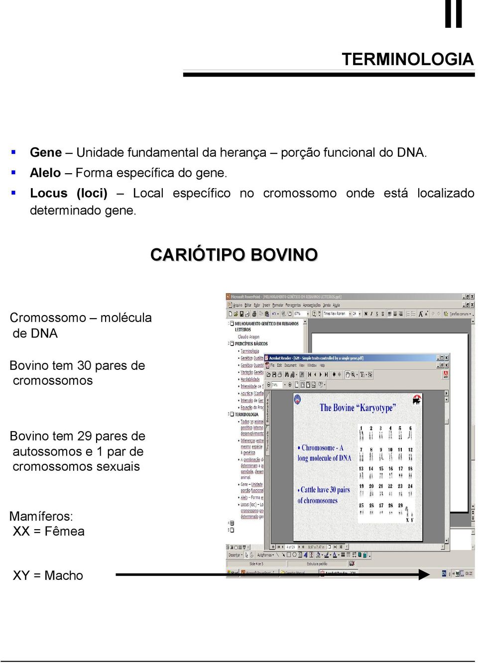 Locus (loci) Local específico no cromossomo onde está localizado determinado gene.