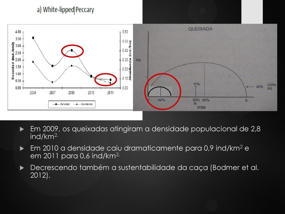 Em 2010 a densidade caiu dramaticamente para 0,9 ind/km