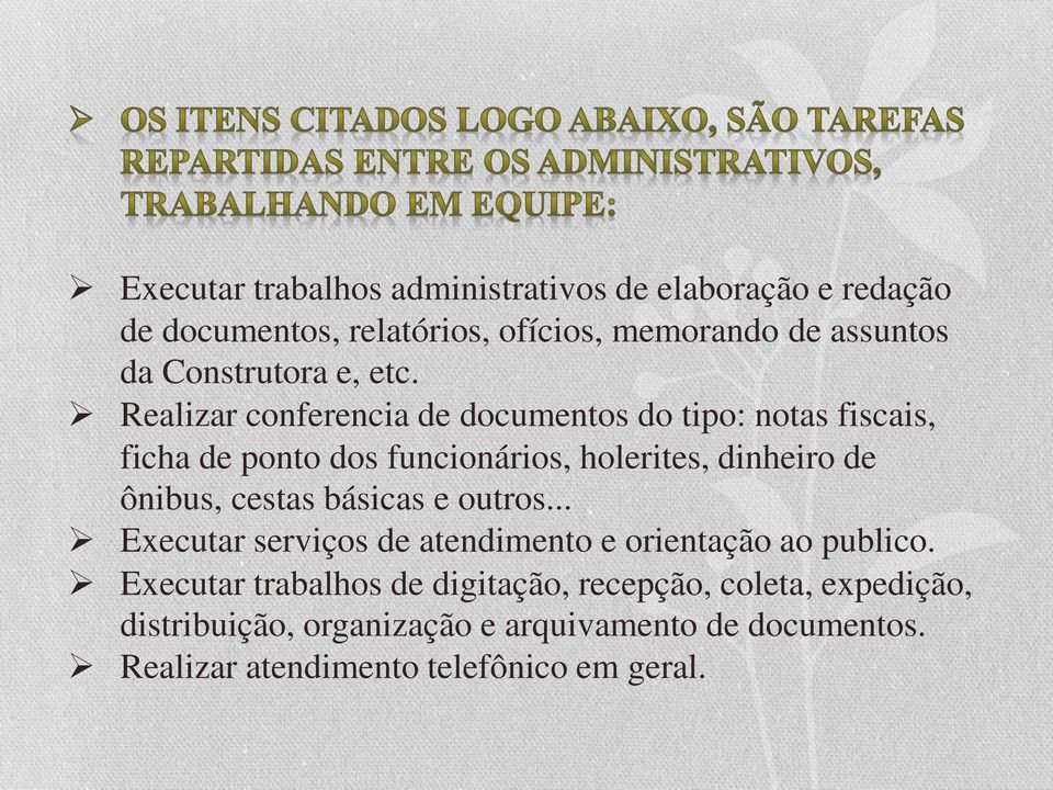 Realizar conferencia de documentos do tipo: notas fiscais, ficha de ponto dos funcionários, holerites, dinheiro de ônibus,