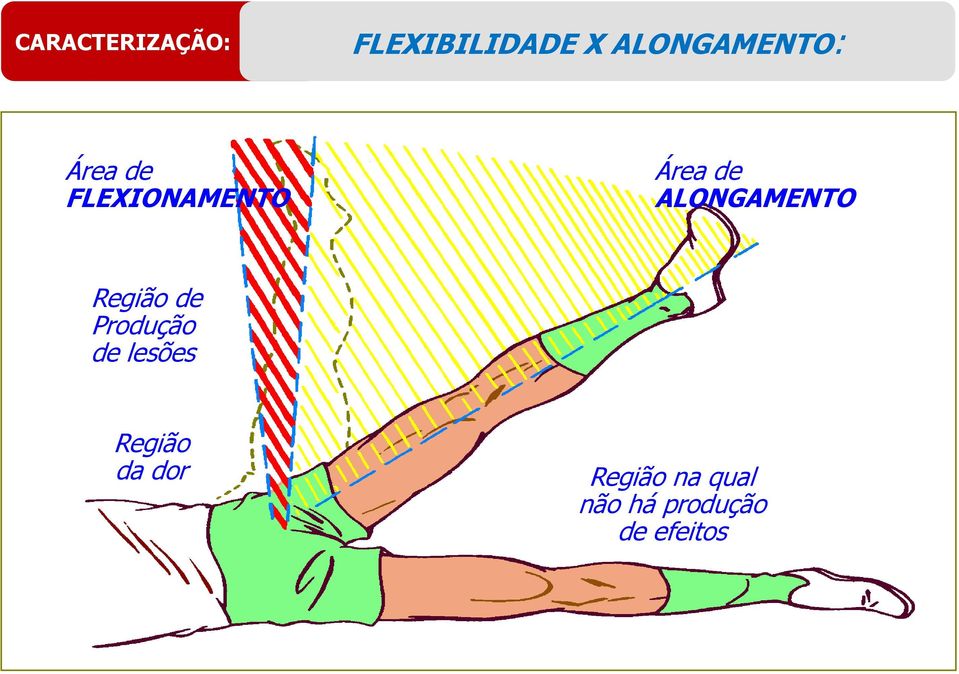 ALONGAMENTO Região de Produção de lesões