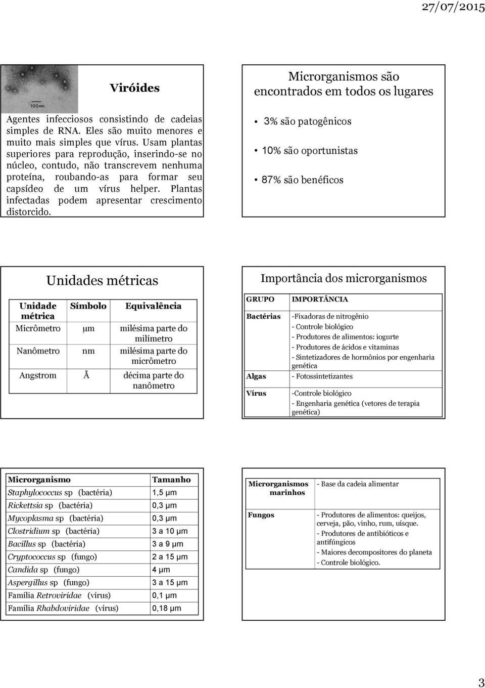 Plantas infectadas podem apresentar crescimento distorcido.