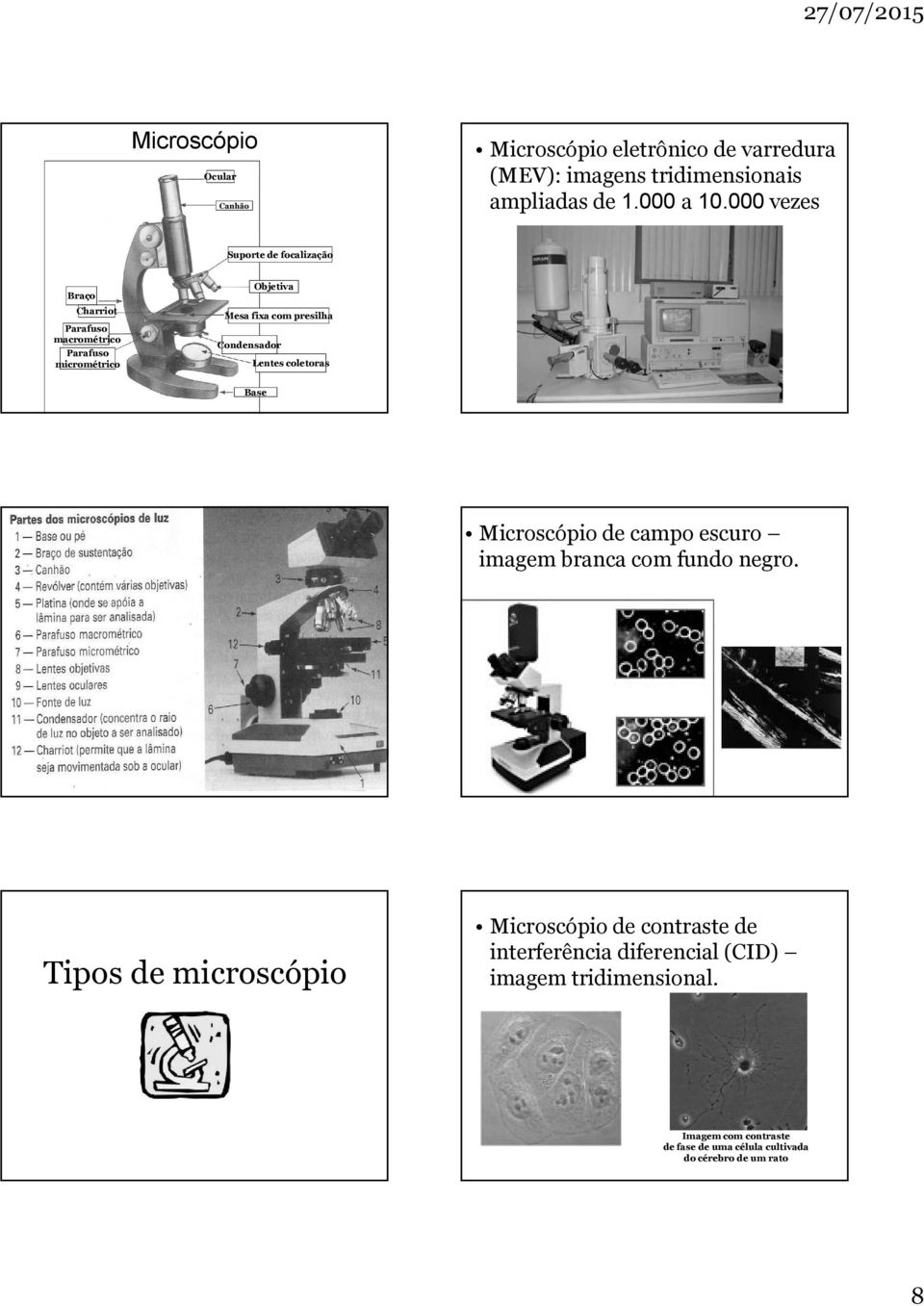 Condensador Lentes coletoras Base Microscópio de campo escuro imagem branca com fundo negro.