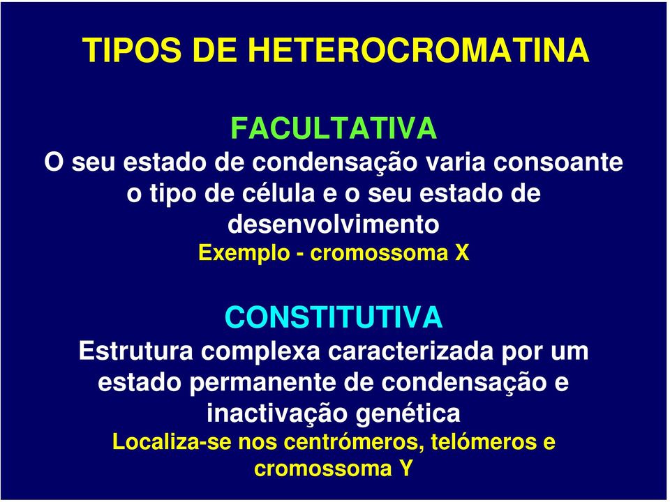 cromossoma X CONSTITUTIVA Estrutura complexa caracterizada por um estado