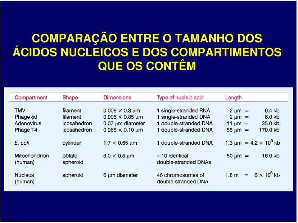 NUCLEICOS E DOS