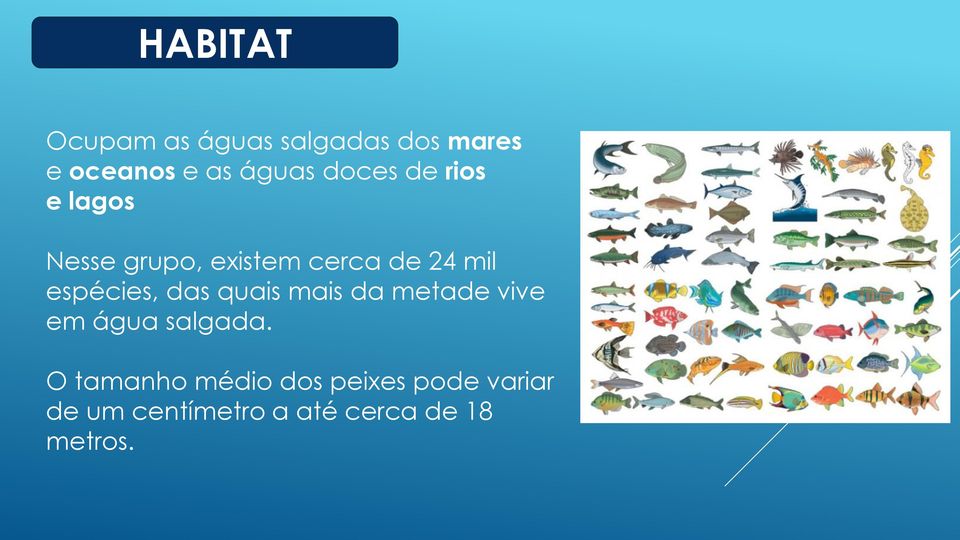 espécies, das quais mais da metade vive em água salgada.