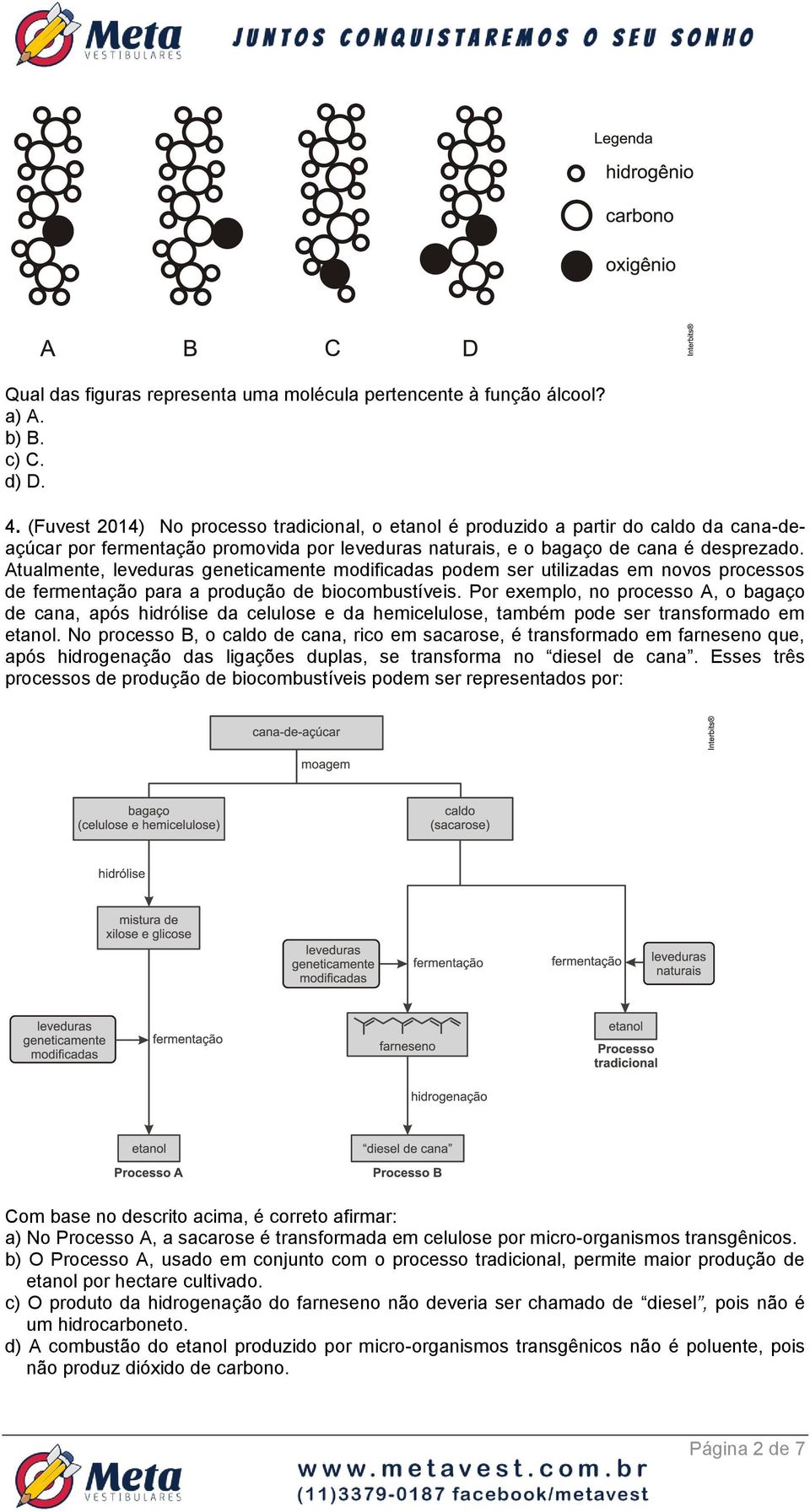 Atualmente, leveduras geneticamente modificadas podem ser utilizadas em novos processos de fermentação para a produção de biocombustíveis.