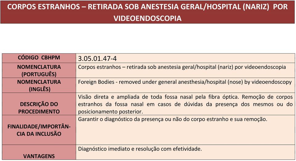 anesthesia/hospital (nose) by videoendoscopy Visão direta e ampliada de toda fossa nasal pela fibra óptica.