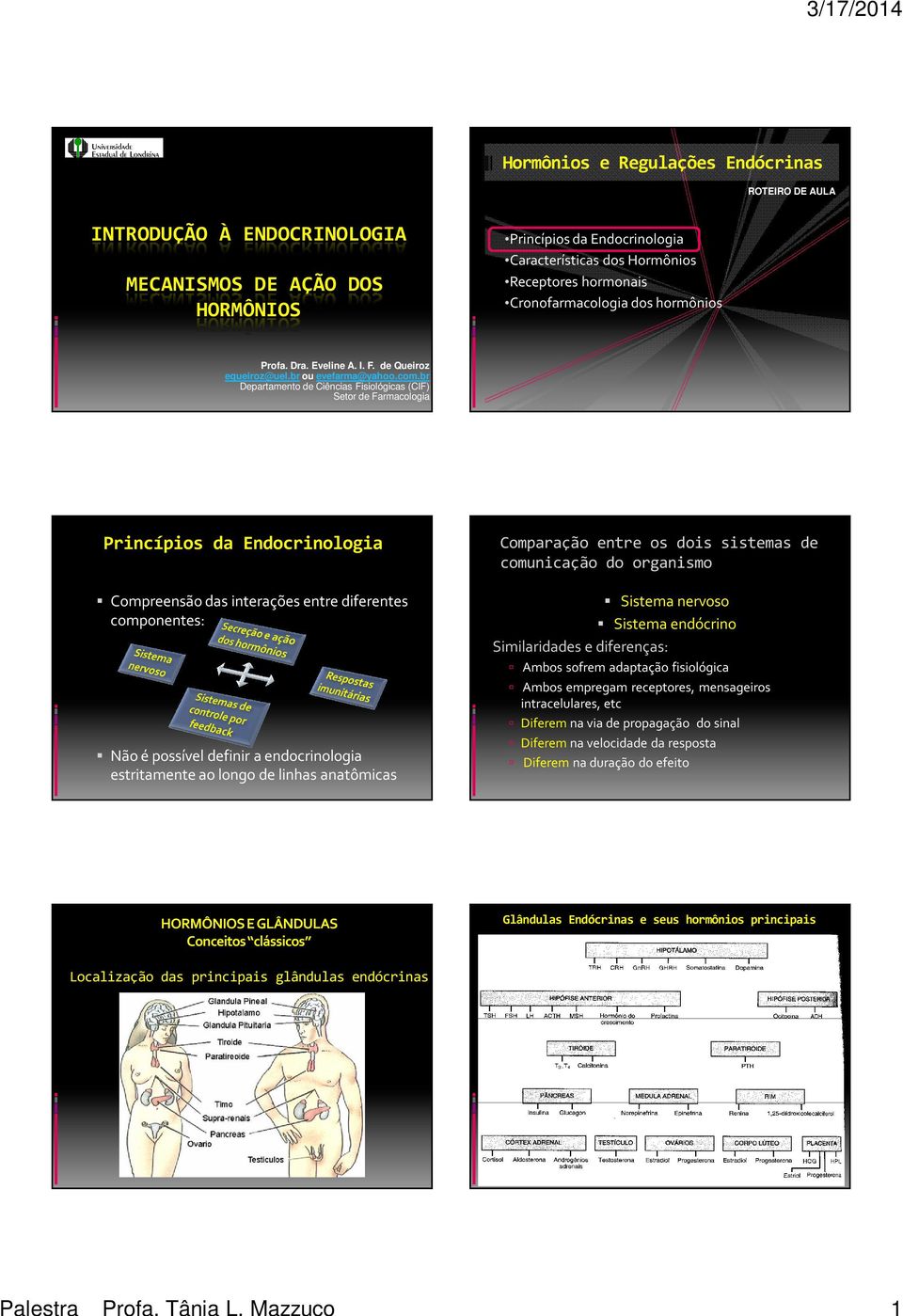 Cronofarmacologia dos hormônios Profa. Dra. Eveline A. I. F. de Queiroz equeiroz@uel.br ou evefarma@yahoo.com.