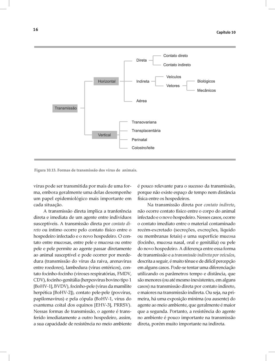 A transmissão direta por contato direto ou íntimo ocorre pelo contato físico entre o hospedeiro infectado e o novo hospedeiro.