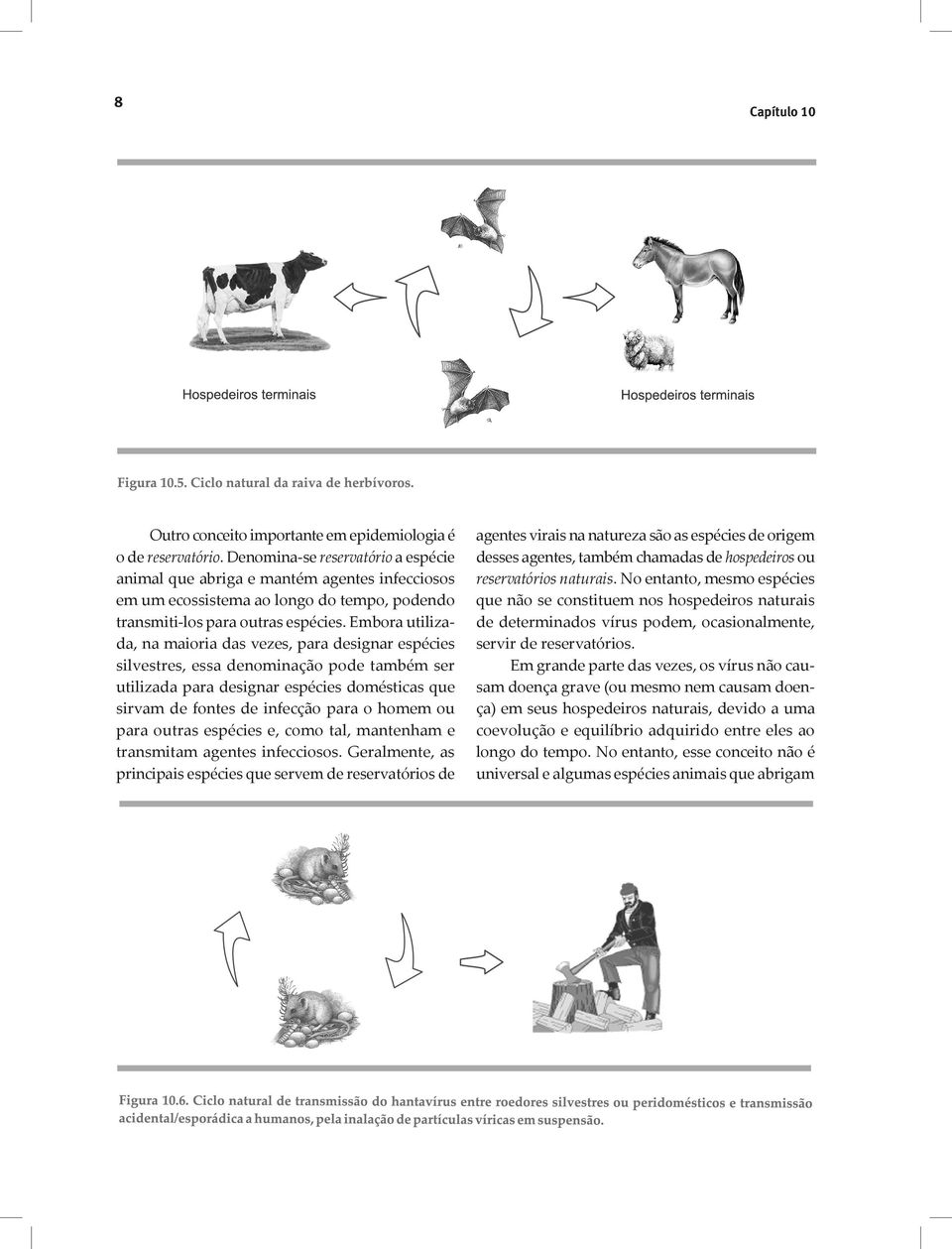 Embora utilizada, na maioria das vezes, para designar espécies silvestres, essa denominação pode também ser utilizada para designar espécies domésticas que sirvam de fontes de infecção para o homem