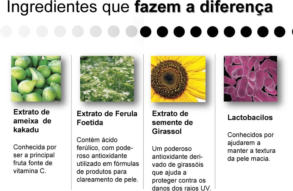 Extrato de Ferula Foetida Contém ácido ferúlico, com poderoso antioxidante utilizado em fórmulas de produtos para