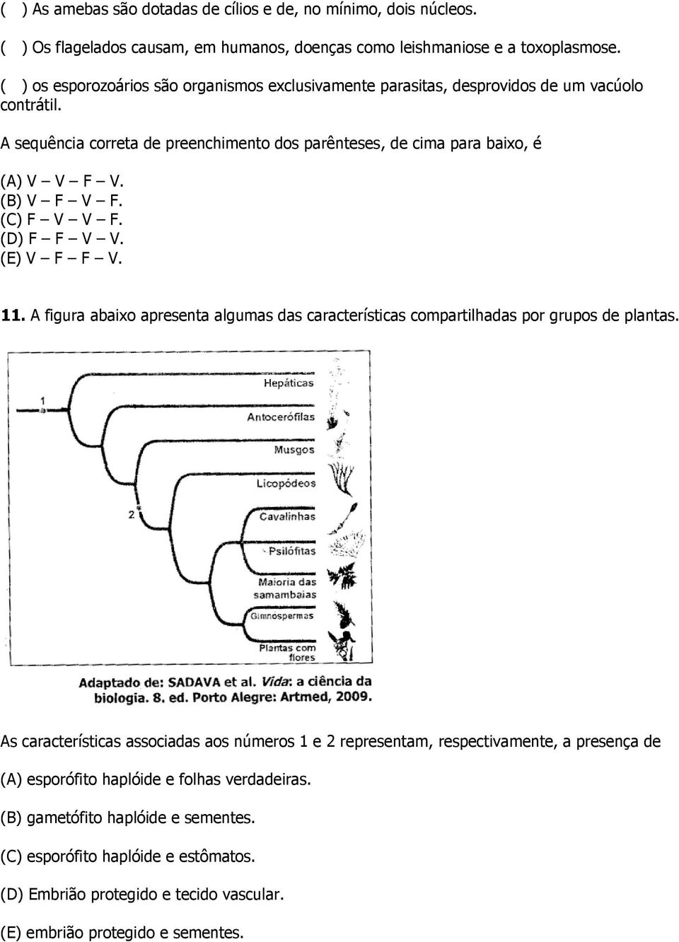 (B) V F V F. (C) F V V F. (D) F F V V. (E) V F F V. 11. A figura abaixo apresenta algumas das características compartilhadas por grupos de plantas.