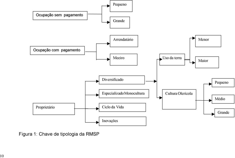 Pequeno EspecializadoMonocultura Cultura Olerícola Médio