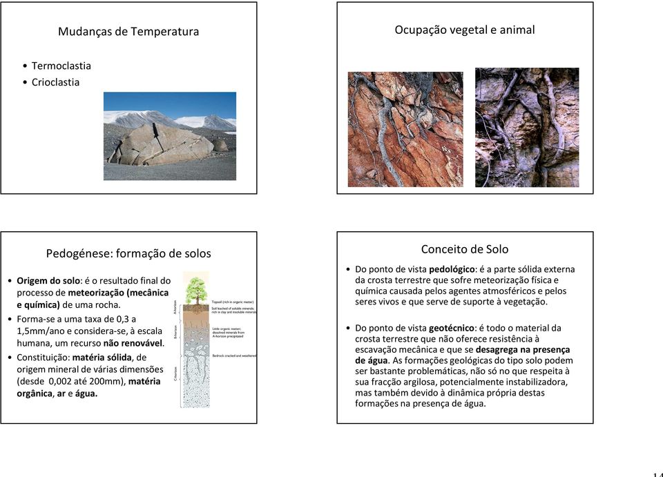 Constituição: matéria sólida, de origem mineral de várias dimensões (desde 0,002 até 200mm), matéria orgânica, ar e água.