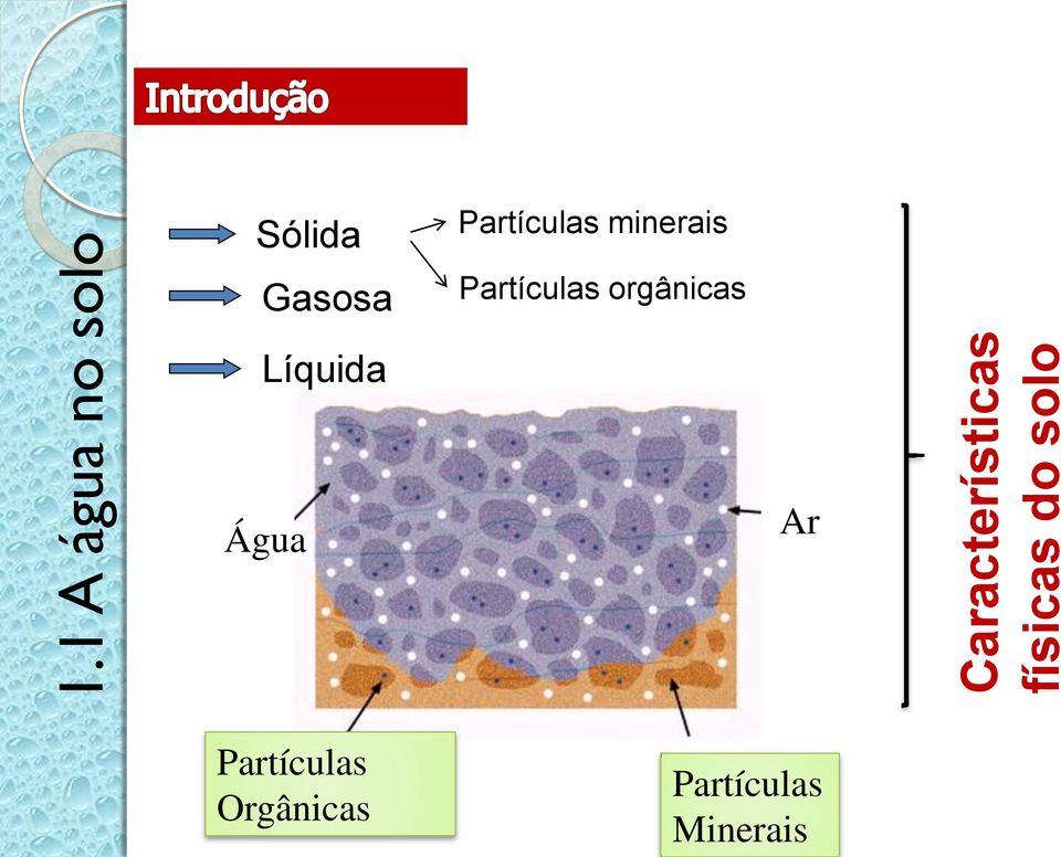 minerais Partículas orgânicas Líquida