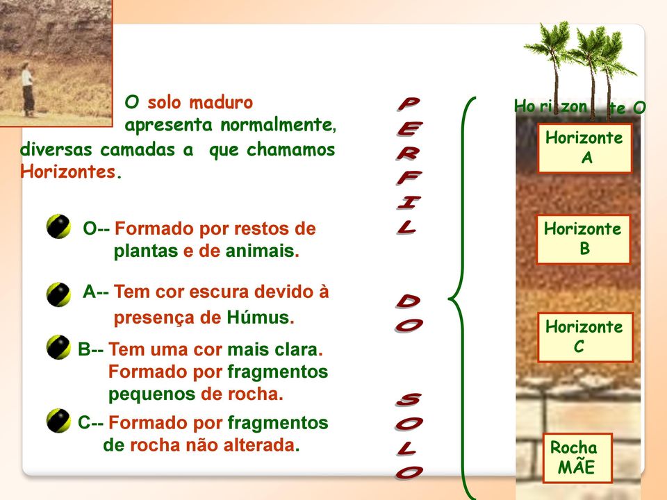 A-- Tem cor escura devido à presença de Húmus. B-- Tem uma cor mais clara.