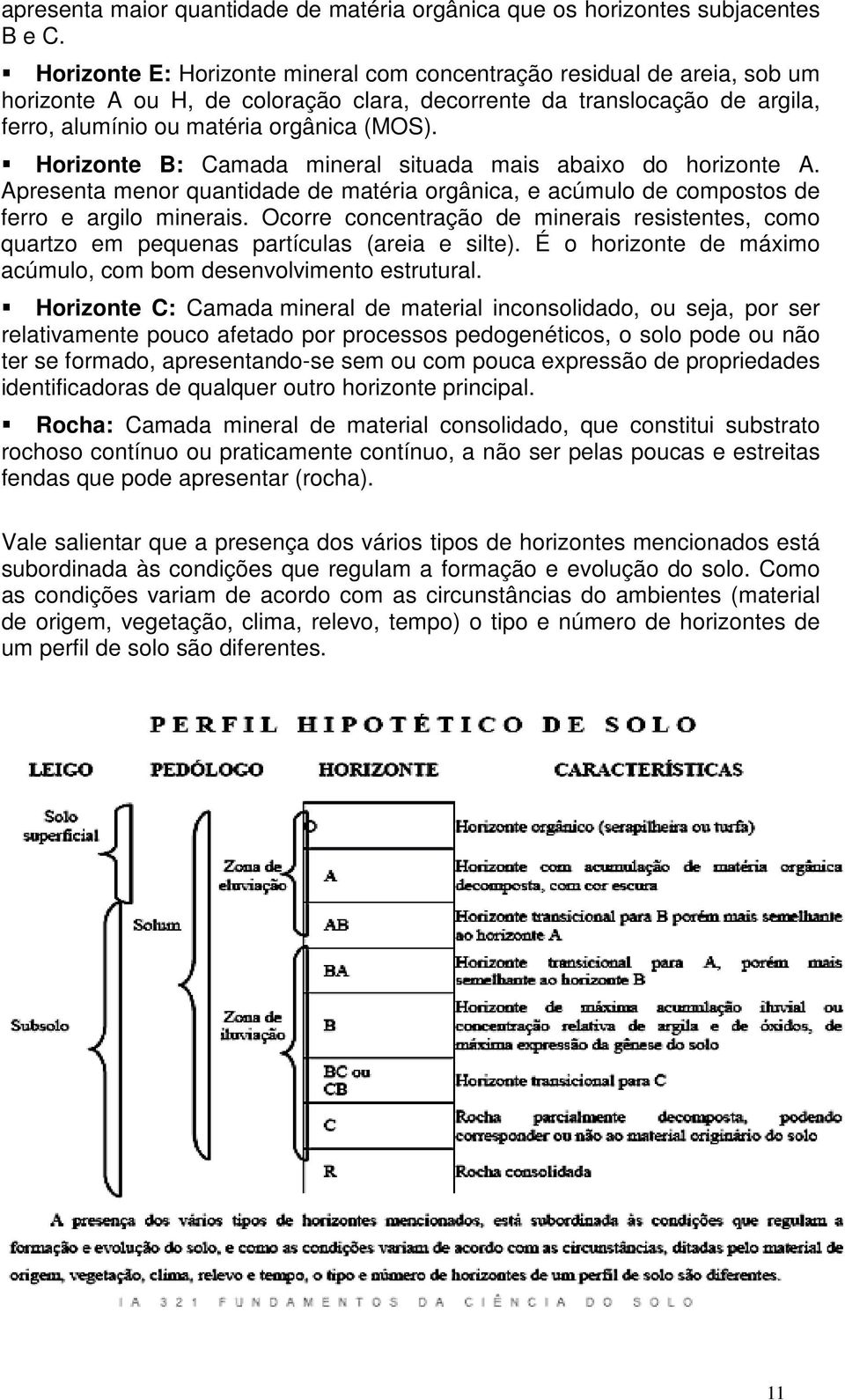 Horizonte B: Camada mineral situada mais abaixo do horizonte A. Apresenta menor quantidade de matéria orgânica, e acúmulo de compostos de ferro e argilo minerais.