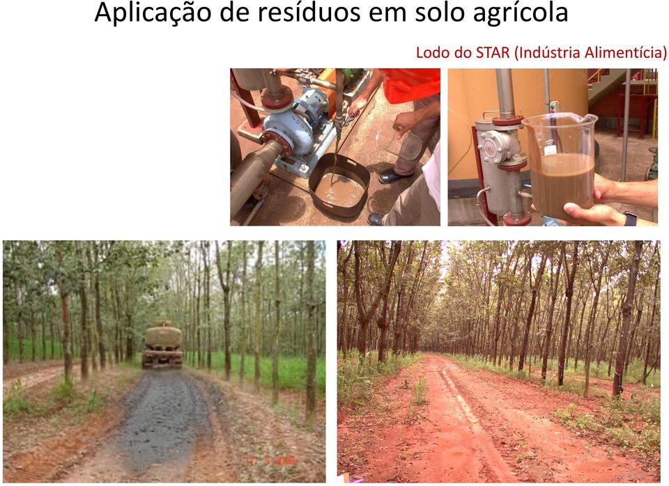 agrícola Lodo do